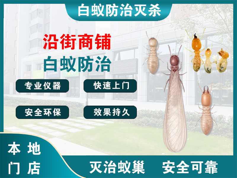 武进区沿街商铺白蚁防治