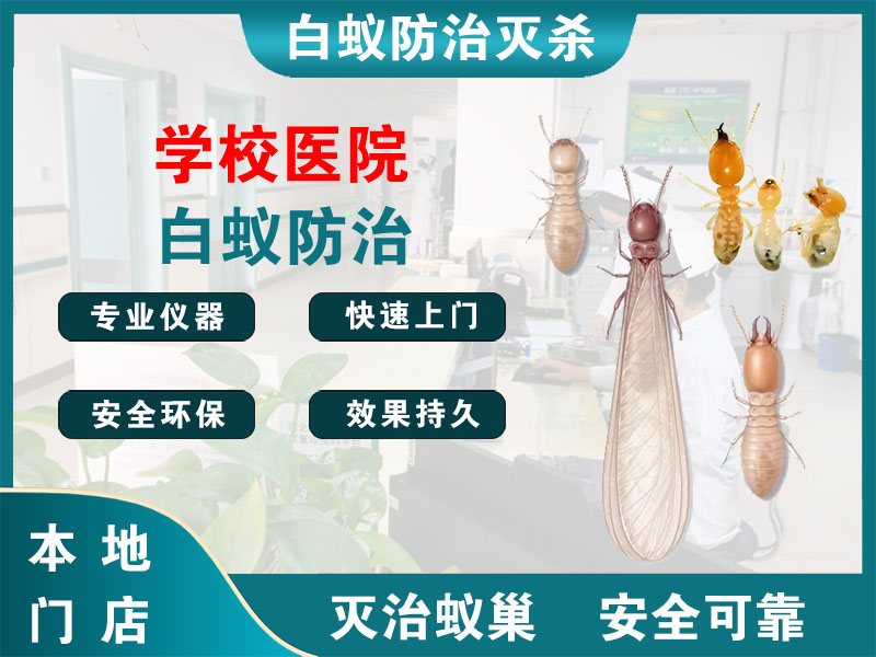 武进区学校医院白蚁防治