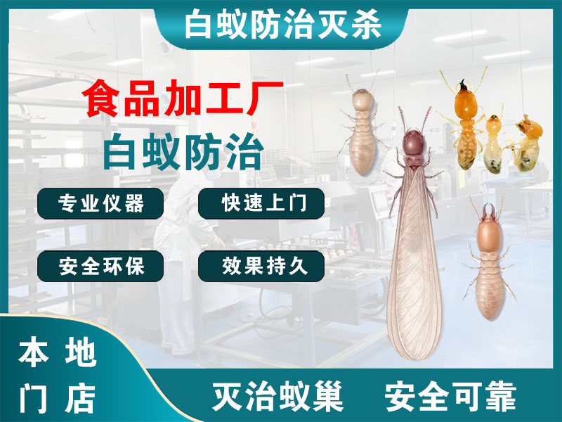 武进区食品加工厂白蚁防治