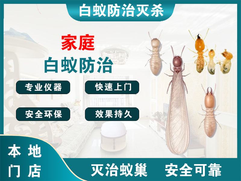武进区家庭白蚁防治