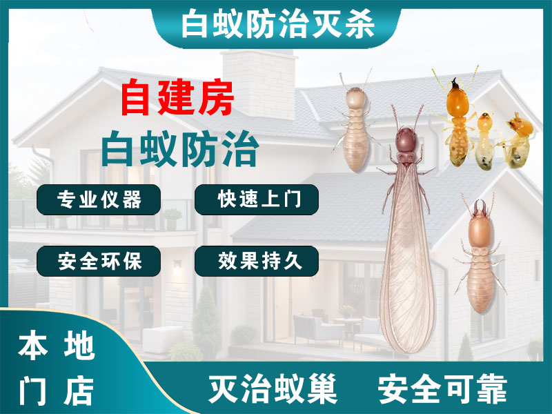 武进区自建房白蚁防治