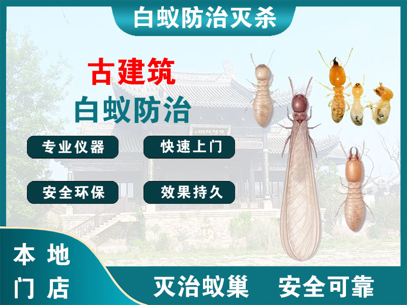 武进区古建筑白蚁防治