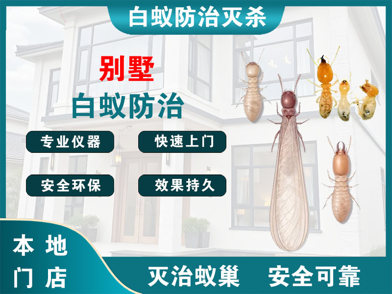 武进区别墅白蚁防治