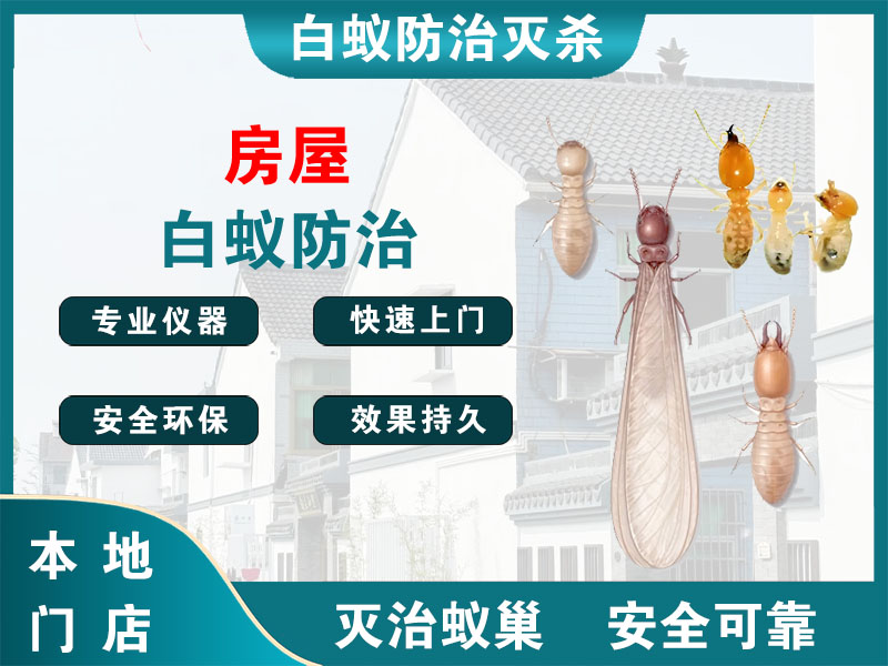 武进区房屋白蚁防治